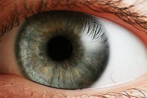 alt: Lidské oko. Zdroj Wikimedia Commons, autor Petr Novák, Wikipedia. Licence Creative Commons Uveďte autora-Zachovejte licenci 2.5 Generic.