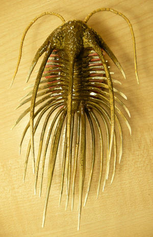 alt: Model trilobita *Ancyropyge sola*, který vytvořil Tomáš Viktorýn. Foto Tomáš Viktorýn.