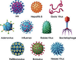alt: Různé druhy virů. Zdroj Shutterstock.com