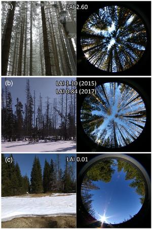 alt: Hemisférické snímky (a) zdravý jehličnatý les (b) kůrovcem poškozený jehličnatý les (c) otevřená plocha. Zdroj autoři původního článku.