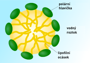 alt: Schéma micely - lipofilní 