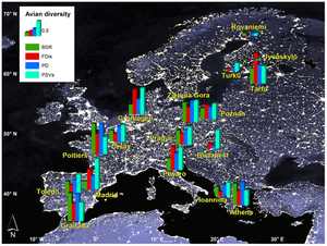 alt: Ptačí diverzita ve městech, zahrnutých ve studii. Mapa na pozadí ilustruje míru světelného znečištění, grafy ukazují jednotlivé metriky měřené diverzity: početnost (species richness; BSR), funkční diverzitu (functional diversity; FDis), fylogenetickou diverzitu (phylogenetic diversity; PD) a fylogenetickou příbuznost (phylogenetic relatedness; PSVs); zdroj: originální článek.