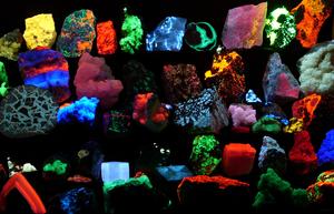 alt: Fluorescenční minerály vyzařují viditelné světlo, jsou-li vystaveny ultrafialovému záření. Zdroj Wikimedia Commons, autor Hannes Grobe/AWI – vlastní dílo, CC BY-SA 2.5   