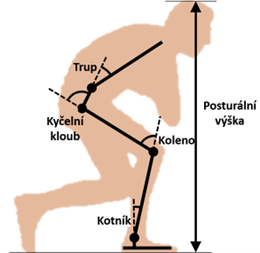 alt: Upravené schéma polohy těla při přikrčené chůzi. Zdroj: původní článek