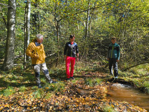 alt: Foto V. Slavíková