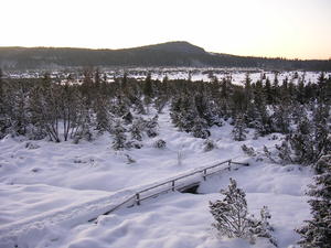 alt: Jezerní slať na Šumavě patří mezi mrazové kotliny, kde se hromadí studený vzduch, a teploty tam tak dosahují rekordně nízkých hodnot. Zdroj Wikimedia Commons, autor cs:ŠJů - Self-photographed, CC BY-SA 3.0