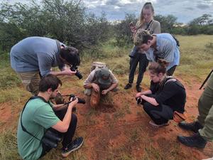 alt: Absence velkých predátorů, slonů, nosorožců a buvolů proměnila soukromou rezervaci  Mogalakwena v dokonalou a zcela bezpečnou terénní laboratoř. 