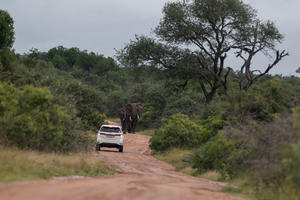 alt: Hrstka pečlivě vybraných studentů dostala během exkurze jedinečnou šanci proniknout do tajů neuvěřitelně bohaté africké savany.