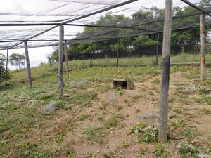 alt: Syslí voliéra v pražské zoo a v ní nastražené pasti na sysly. Odchyt syslů probíhal každoročně od roku 2011 do roku 2022 v rámci jejich pravidelného monitoringu.