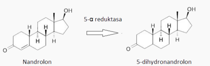 alt: Redukce dvojné vazby enzymem 5-α reduktasou