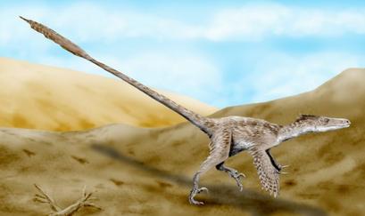 alt: Rekonstrukce dinosaura Velociraptor mongoliensis z období svrchní křídy. Zdroj Wikimedia Commons, autor Nobu Tamura (http://spinops.blogspot.com), licence Creative Commons Attribution-Share Alike 3.0 Unported.
