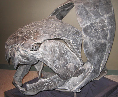 alt: Lebka vymřelého pancířnatého obratlovce z roku Dunkleosteus (svrchní devon, stáří asi 385–360 milionů let). Zdroj Wikimedia Commons, autor Mitternacht90, volné dílo / public domain.