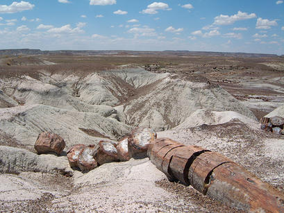 alt: Zkamenělý kmen stromu v národním parku Petrified Forest v USA. Zdroj Wikimedia Commons, autor Stefan Pauli, licence Creative Commons Attribution-Share Alike 3.0 Unported.