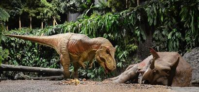 alt: V Gondwaně nás přivítají dinosauři skoro jako živí. Zdroj: http://www.gondwana-das-praehistorium.de.
