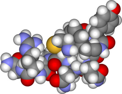 alt: Hormon vasopresin je malý peptid složený z devíti aminokyselin. Zdroj Wikimedia Commons, autor Fvasconcellos, volné dílo / public domain.