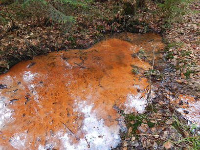 alt: Rezavý povlak v potoce u odtoku z jezírka. Foto Svatopluk Frolík.
