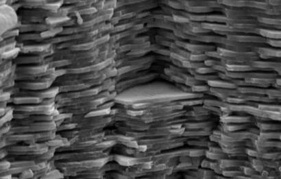 alt: Mikroskopický snímek ukazuje, že perleť je složena z miniaturních plátků aragonitu. Ty jsou proloženy vrstvami bílkovin a dalších organických látek. Zdroj Wikimedia Commons, autor Fabian Heinemann, volné dílo / public domain.