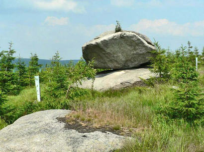 alt: Viklan blízko vrcholu Jelení stráně v Jizerských horách. Zdroj Wikimedia Commons, autor Lovecz, volné dílo / public domain.