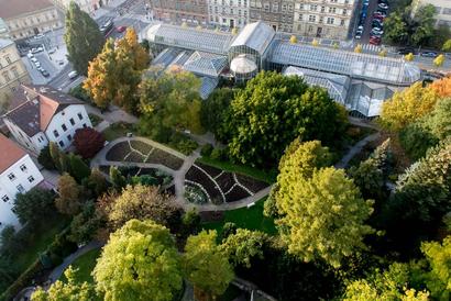 alt: Botanická zahrada naší fakulty je domovem několika tisíc druhů rostlin. Foto Petr Jan Juračka.