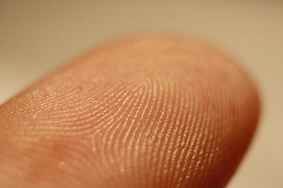 alt: Papilární linie na lidském prstu. Zdroj Wikimedia Commons, autor Frettie, licence CC BY 3.0.