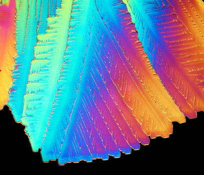 alt: Krystaly kyseliny citronové v polarizačním mikroskopu. Zdroj Wikimedia Commons, autor Jan Homann, volné dílo / Public Domain.