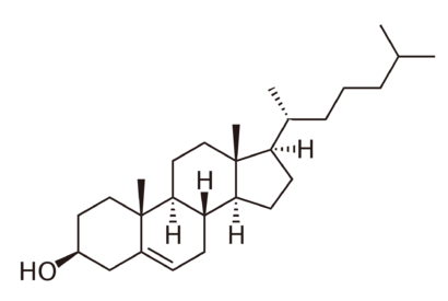 alt: Vzorec cholesterolu. Tato sloučenina patří mezi takzvané steroidy.