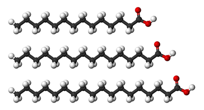 alt: Nasycené mastné kyseliny myristová (se 14 atomy uhlíku, *nahoře*), palmitová (se 16 atomy uhlíku, *uprostřed*) a stearová (s 18 atomy uhlíku, *dole*). Červeně jsou znázorněny atomy kyslíku, černě uhlíku a bíle vodíku.