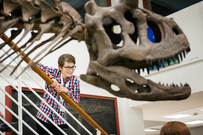 alt: Expozici Chlupáčova muzea historie Země vévodí kostra masožravého dinosaura z rodu *Carnotaurus*. Foto Petr Jan Juračka.