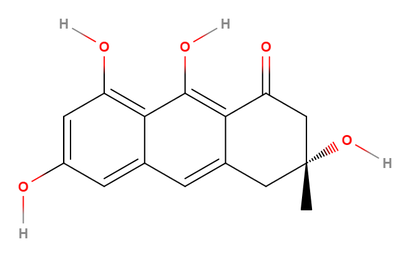 alt: Zelené zbarvení některých pavučinců způsobuje sloučenina (*3R*)-atrochryson.