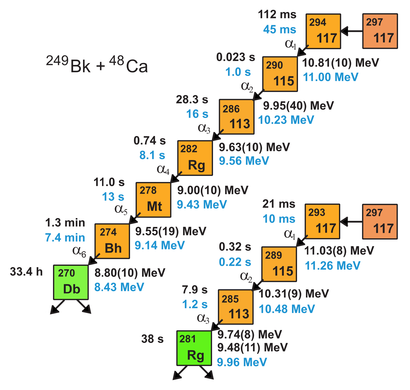 alt: Dvě rozpadové řady prvku 117. Údaje u šipek jsou poločasy rozpadu a uvolněná množství energie (v megaelektronvoltech). *Černá* barva značí experimentálně změřené hodnoty, *modrá* teoreticky předpovězené. Zdroj Wikimedia Commons, autor Materialscientist, úpravy Jan Kolář, licence CC BY 1.0.