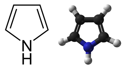 alt: Pyrrol je základní stavební jednotkou hemu, chlorofylu, protoporfyrinu a dalších tetrapyrrolových barviv. *Vlevo* vidíte jeho vzorec, *vpravo* model molekuly (tmavě šedě atomy uhlíku, světle šedě vodíku, modře dusíku). Zdroj Wikimedia Commons, autor Cacycle a Ben Mills, volné dílo / Public Domain.