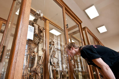 alt: Otevřeno bude Hrdličovo muzeum člověka i další fakultní sbírky. Foto Petr Jan Juračka.