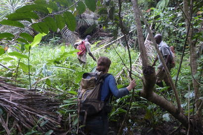 alt: 	Stopování goril nížinných, Dja Faunal Reserve, Kamerun. Foto: archiv Kláry Vlčkové.	