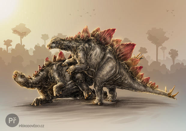 alt: Rekonstrukce páření u stegosaurů. Autor ilustrace © Karel Cettl.