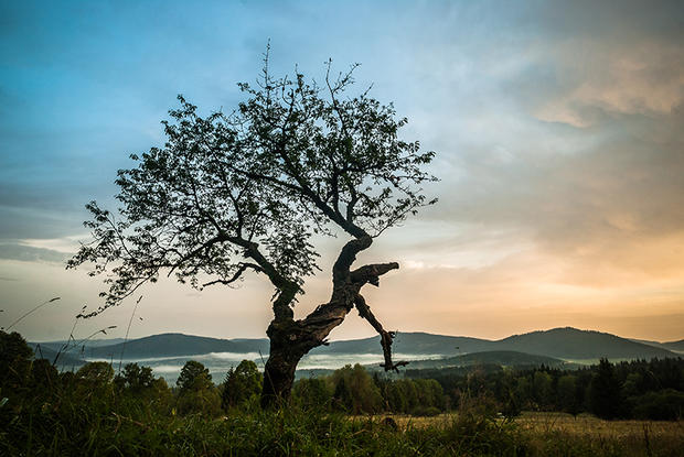 alt: Svítání nad Českými Žleby. Foto: Pavel Fiala.