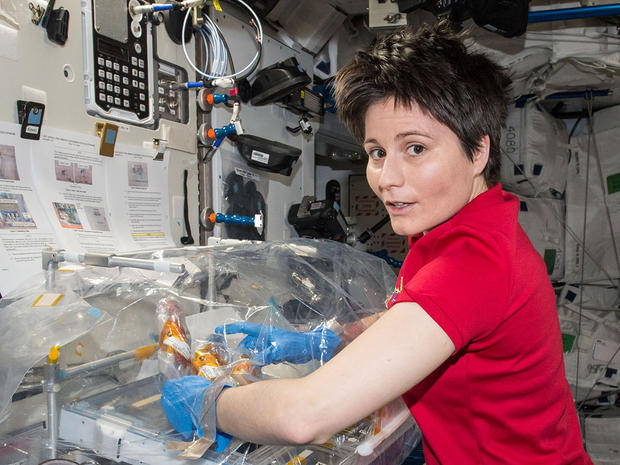 alt: Italská astronautka Samantha Cristoforetti na palubě Mezinárodní vesmírné stanice (ISS). Právě vybaluje materiál pro experiment Osteo-4, který zkoumal vliv stavu beztíže na kostní buňky. Zdroj Wikimedia Commons / NASA, volné dílo / Public Domain.