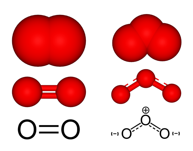alt: Chemické vzorce a molekulové modely běžného dvouatomového kyslíku (*vlevo*) a ozonu (*vpravo*). V „obyčejném“ kyslíku spojuje atomy dvojná vazba. V molekule ozonu jsou vazby, které můžeme zjednodušeně považovat za jedenapůlnásobné. Svírají spolu úhel 116,8°. Zdroj Wikimedia Commons, autor Benjah-bmm27, úpravy Jan Kolář, volné dílo / Public Domain.