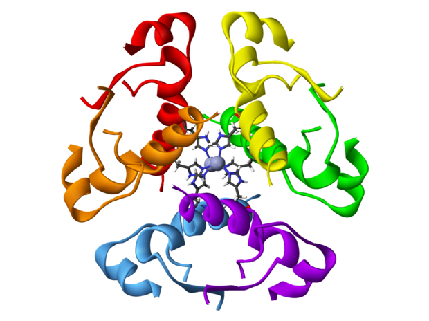 alt: Hexamer inzulinu složený z šesti molekul tohoto hormonu. Každá molekula (monomer) je vyznačena jinou barvou. Uprostřed jsou znázorněny dva atomy zinku a postranní řetězce aminokyselin, které se na ně vážou. Hexamer slouží v těle jako zásobní forma inzulinu; hormonálně aktivní je monomer. Zdroj Wikimedia Commons, autor Benjah-bmm27, volné dílo / Public Domain.