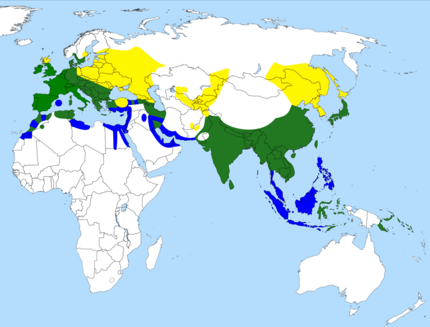 alt: Mapa rozšíření ledňáčka říčního (*Alcedo atthis*). Ve žlutě vyznačených oblastech ptáci pouze hnízdí, v modrých pouze zimují a v zelených se vyskytují celoročně. Zdroj Wikimedia Commons, autor Snowmanradio, úpravy Jan Kolář, licence CC BY-SA 3.0.