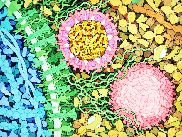 alt: Ilustrační obrázek: Proteiny v krevní plazmě (*žlutohnědě*) jsou zaručeně neživé. Naopak buňky našeho těla (s proteiny znázorněnými *modře* a *zeleně*) pokládáme za živé. A co částice viru zika (*růžově*), které na buňky útočí? To už je složitější otázka. Zdroj Wikimedia Commons, autor David Goodwill – RCSB Molecule of the Month 197, úpravy Jan Kolář, licence CC BY 4.0.