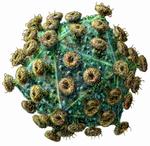 alt: Virus, který způsobuje onemocnění AIDS. Autor vizualizace: Russell Kightley.
