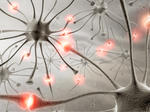 alt: Neuron je nervová buňka, základní funkční a histologická jednotka nervové tkáně. Jsou to vysoce specializované buňky, schopné přijmout, vést, zpracovat a odpovědět na speciální signály. Na grafickém znázornění vidíte komunikaci mezi neurony v lidském mozku. Zdroj: Sciencephoto