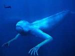 alt: Neznámou mořskou příšeru Cameron v Mariánském příkopu skutečně neviděl...
