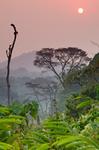 alt: Západ slunce v kamerunském pralese. Autor: Kedjom-Keku